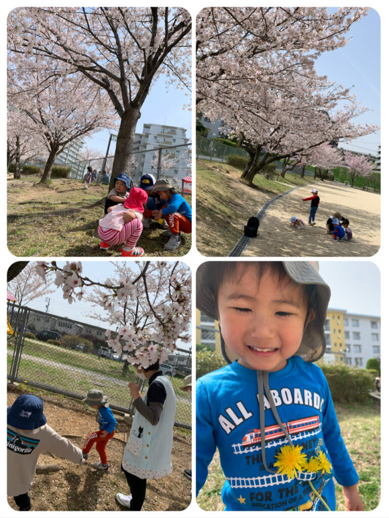 満開の桜の木の下で遊ぶ園児たち