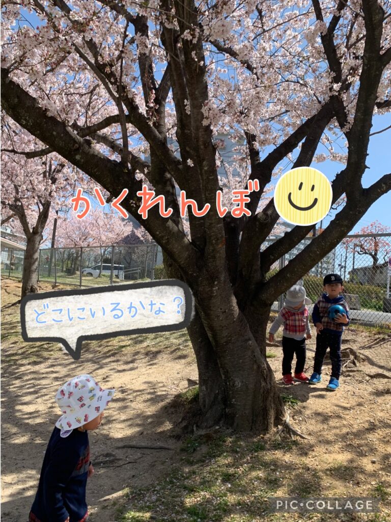 桜の木の下で遊ぶ園児たち